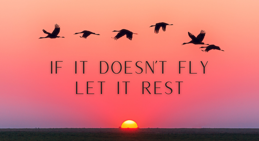 If It Doesn’t Fly, Let It Rest