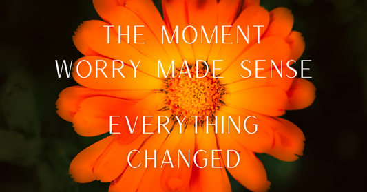 When Worry Finally Made Sense