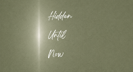 Hidden in Plain Sight