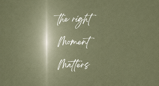 Alignment Knows What Momentum Does Not
