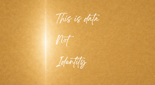 The Past as Information